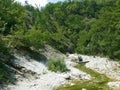 Plesetsk waterfalls/ÃÅ¸ÃÂ»ÃÂµÃÂÃÂµÃâ ÃÂºÃÂ¸ÃÂµ ÃÂ²ÃÂ¾ÃÂ´ÃÂ¾ÃÂ¿ÃÂ°ÃÂ´Ãâ¹